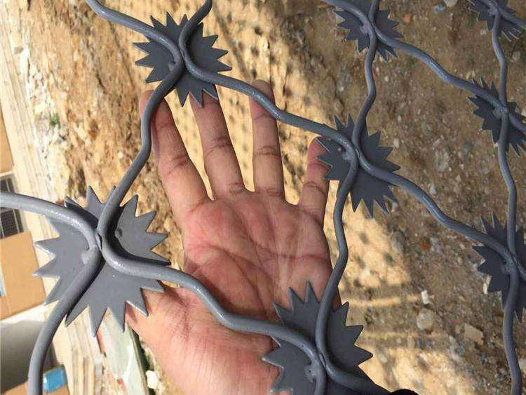 監獄梅花刺隔離網 監獄梅花刺隔離網